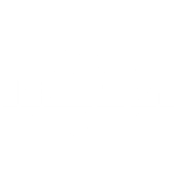 Logo LT Concept Blanc